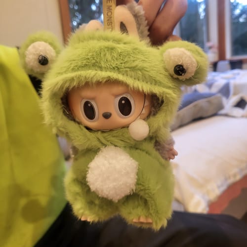 Customer photo review of Pop Mart Labubu The Monsters Tasty Macarons Vinyl Plush Pendant Single Blind Box