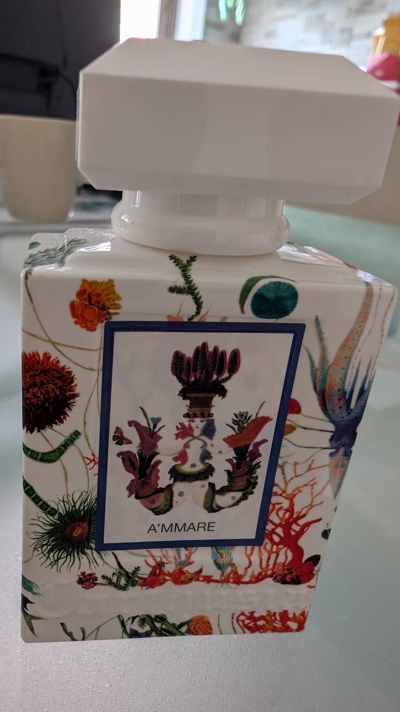 Customer photo review of CARTHUSIA - A'MMARE