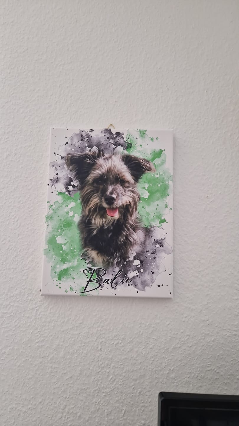 Customer photo review of Tierisches Wasserfarben Portrait