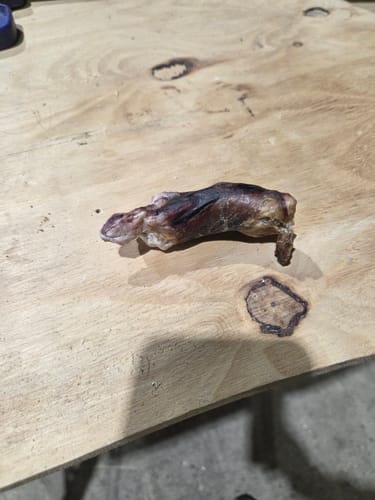 Customer photo review of Beef Pizzle (THICK & Long)