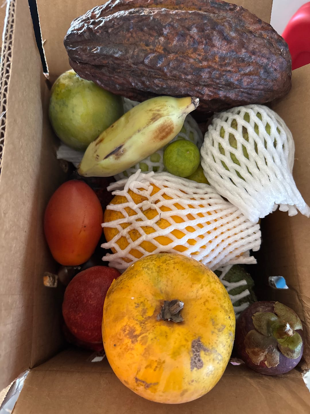 Customer photo review of Variety Box