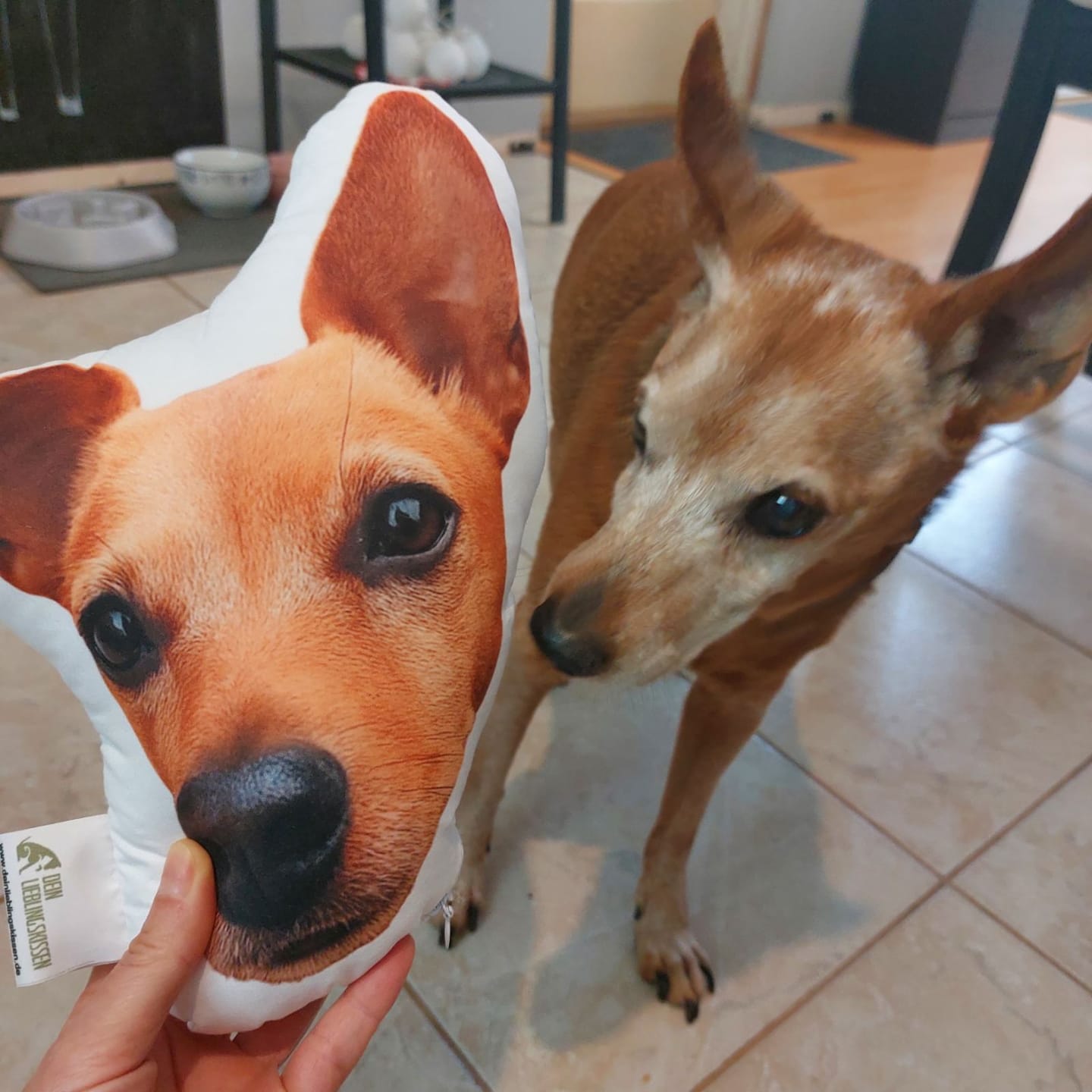 Customer photo review of Personalisiertes Tiergesichterkissen