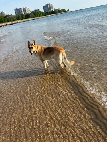 Customer photo review of Multivitamin