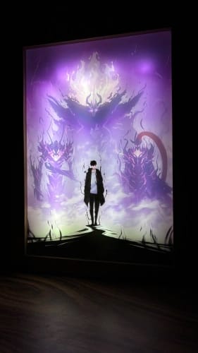 Customer photo review of Sung Jin-woo - Solo Leveling