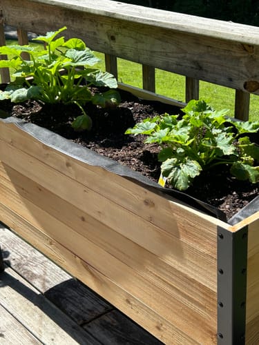 Customer photo review of 18" x 48" Raised Garden Bed - 30" TALL