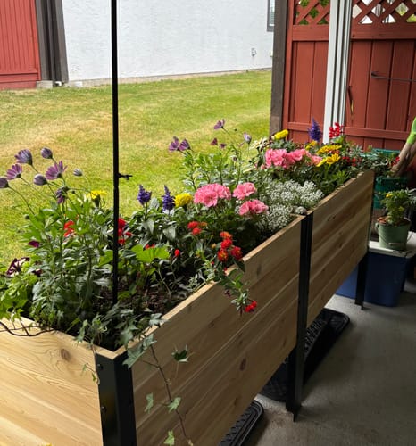 Customer photo review of 18" x 36" Raised Garden Bed - 30" TALL