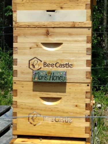 Customer photo review of BeeCastle Hives 8 Frame Unassembled Super Medium  Beehive Box With Wooden Frame And Beeswax Foundation