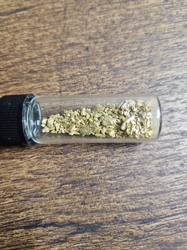 Customer photo review of *TROGO* Flawless '$5,000 GOLD NUGGET DISCOVERY' - Gold Panning Paydirt