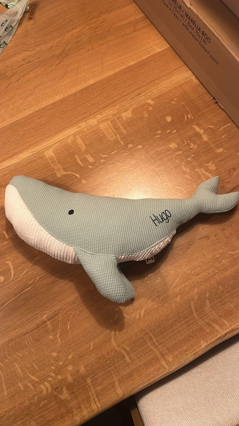 Customer photo review of Peluche Ballena Susi - MENTA