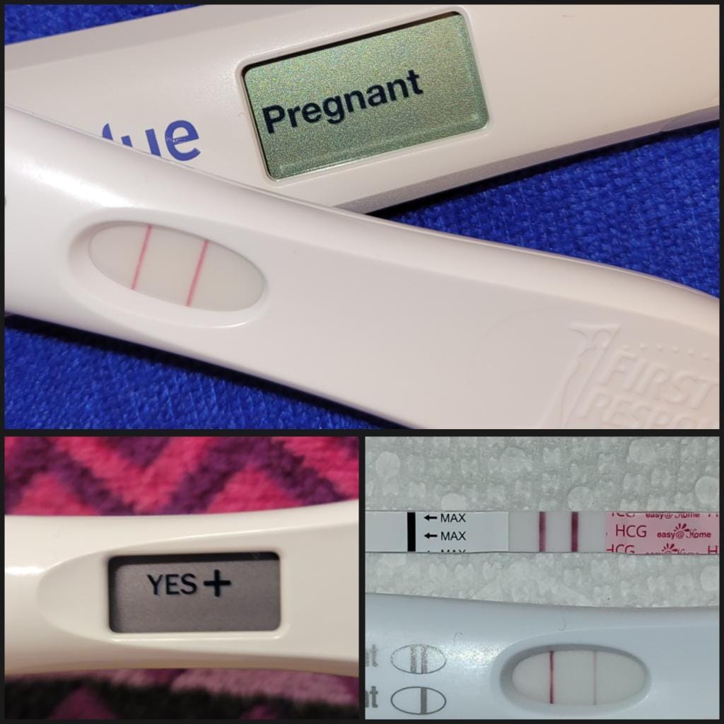 Customer photo review of Hailey's Fertility Readings
