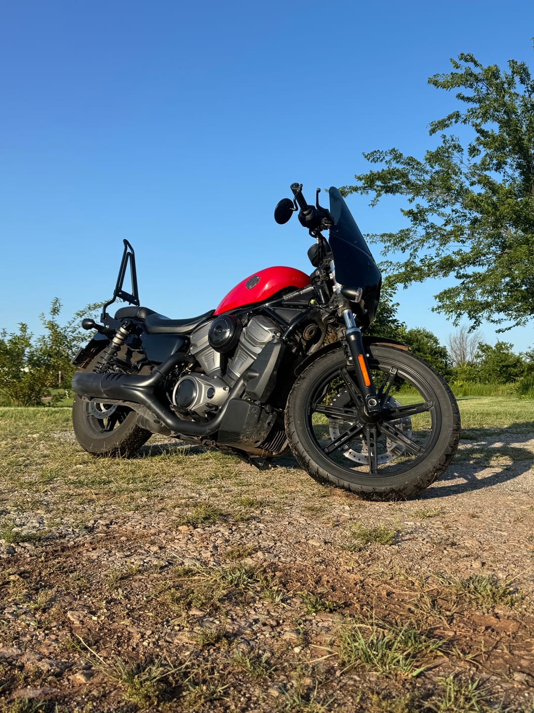 Customer photo review of Iron Born Blade 25" Sissy Bar with Foldable Luggage Rack for Harley Sportster Nightster RH975/S Matte Black