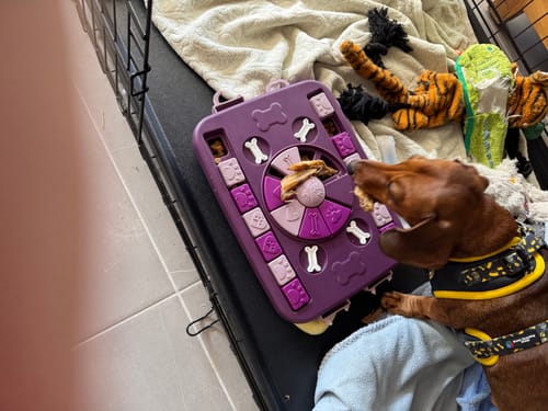 Customer photo review of CHICKEN WING TIPS  (BUCK BUCK WING TIPS)