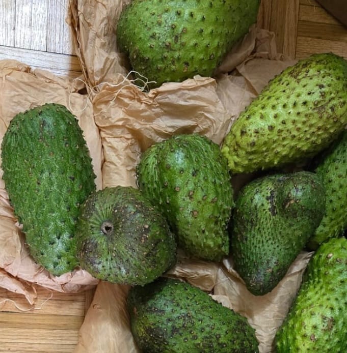 Customer photo review of Premium Soursop (Guanabana)