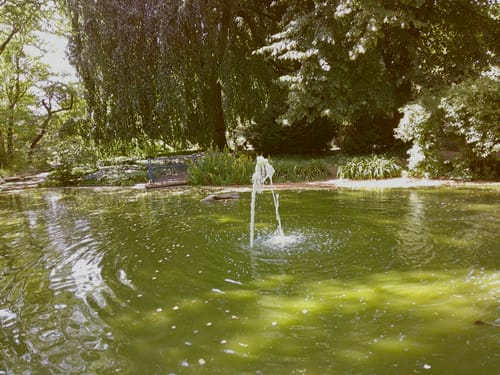 Customer photo review of NUVINT - Digitalkamera