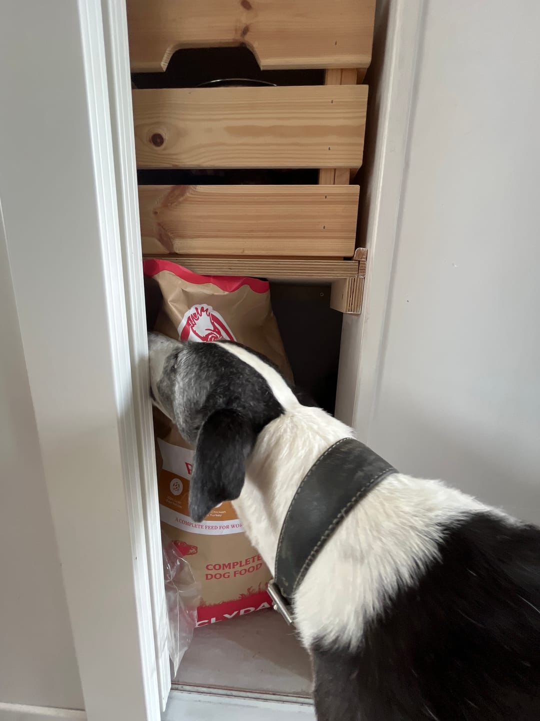 Customer photo review of British Poultry Dry Food Senior/Lite