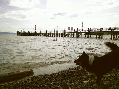 Customer photo review of NUVINT - Digitalkamera