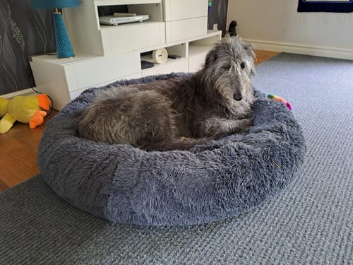 Customer photo review of CalmBed - Motverkar stress & hjälper mot ångest