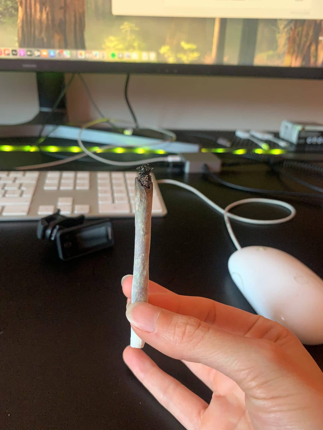 Customer photo review of Candy Kush - Outdoor