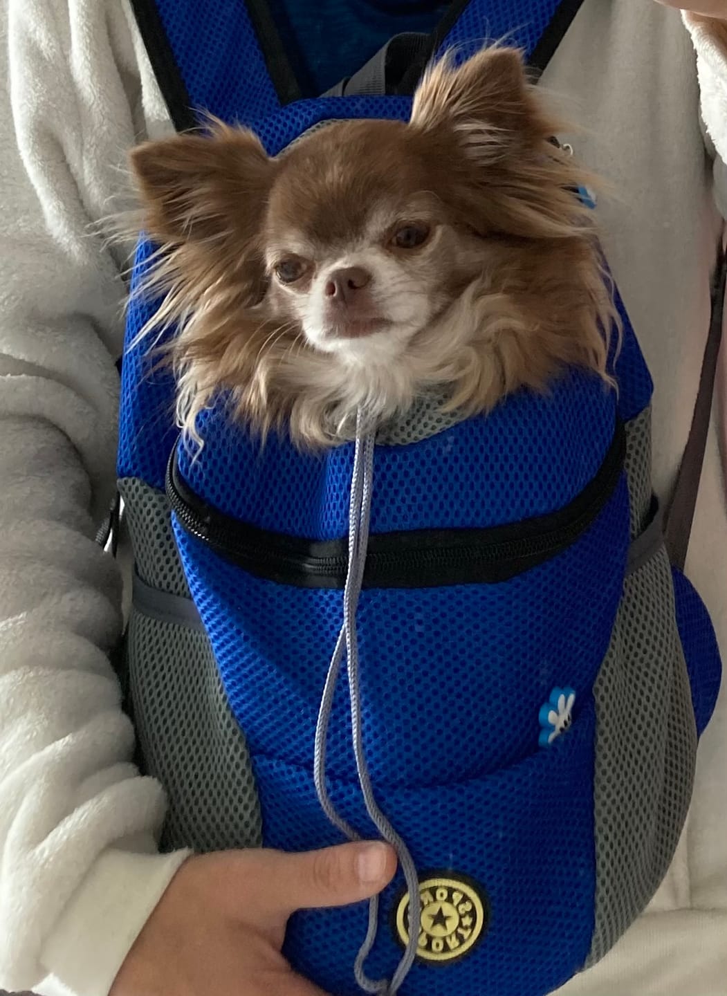 Customer photo review of Emmalove - Hunde-Rucksack