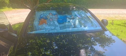 Customer photo review of Catventure - Personalised Car Sunshade