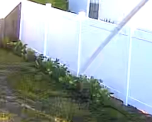 Customer photo review of Clusia