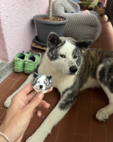 Customer photo review of Personalized Custom Pet Keychain/Magnet