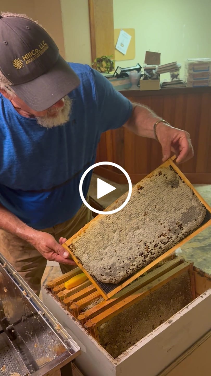 Customer video review of The Speed King Capping Slicer - Made in USA