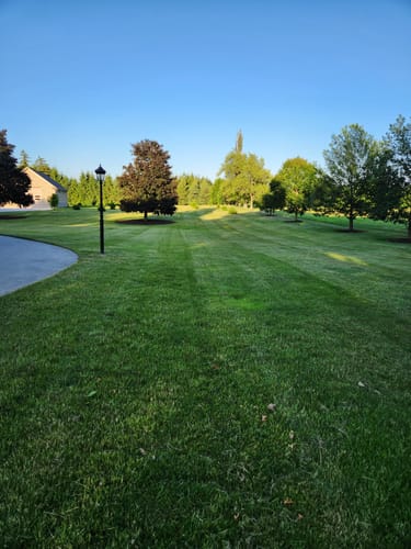 Customer photo review of Par 3 Weed Killer 10L Jug