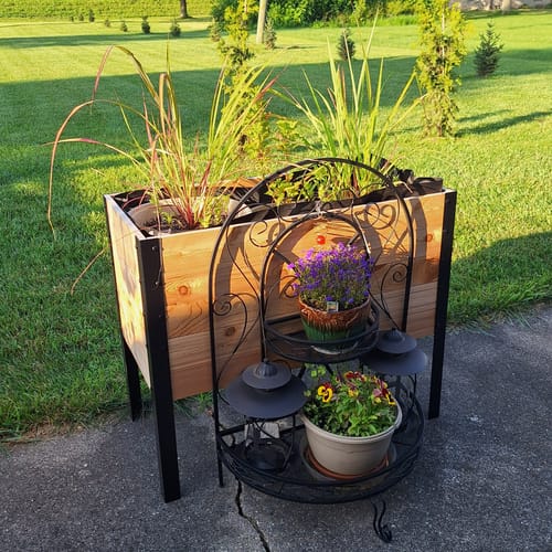 Customer photo review of 18" x 36" Raised Garden Bed - 30" TALL