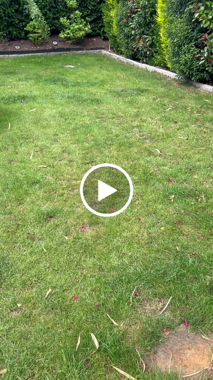 Customer video review of RASENBLITZ™ - NACHSAAT