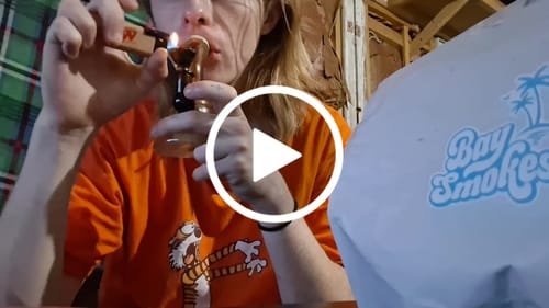 Jayden W. review of Shipping Protection by Route image 1 out of 1