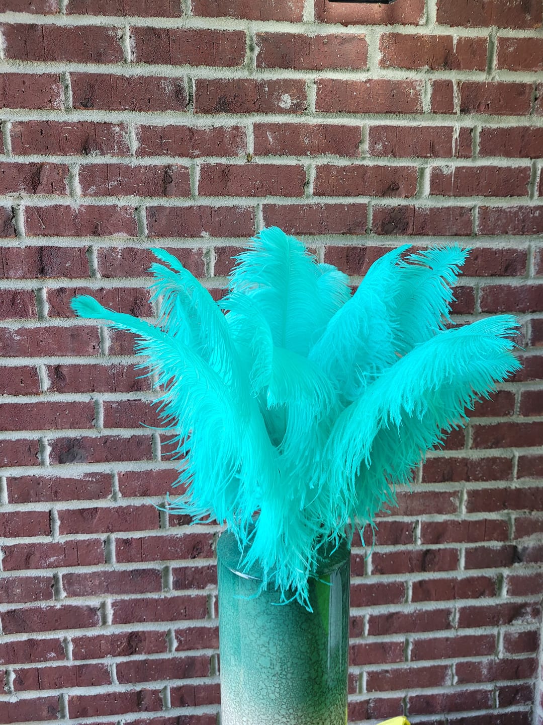 Customer photo review of Ostrich Drab Feathers (Long)