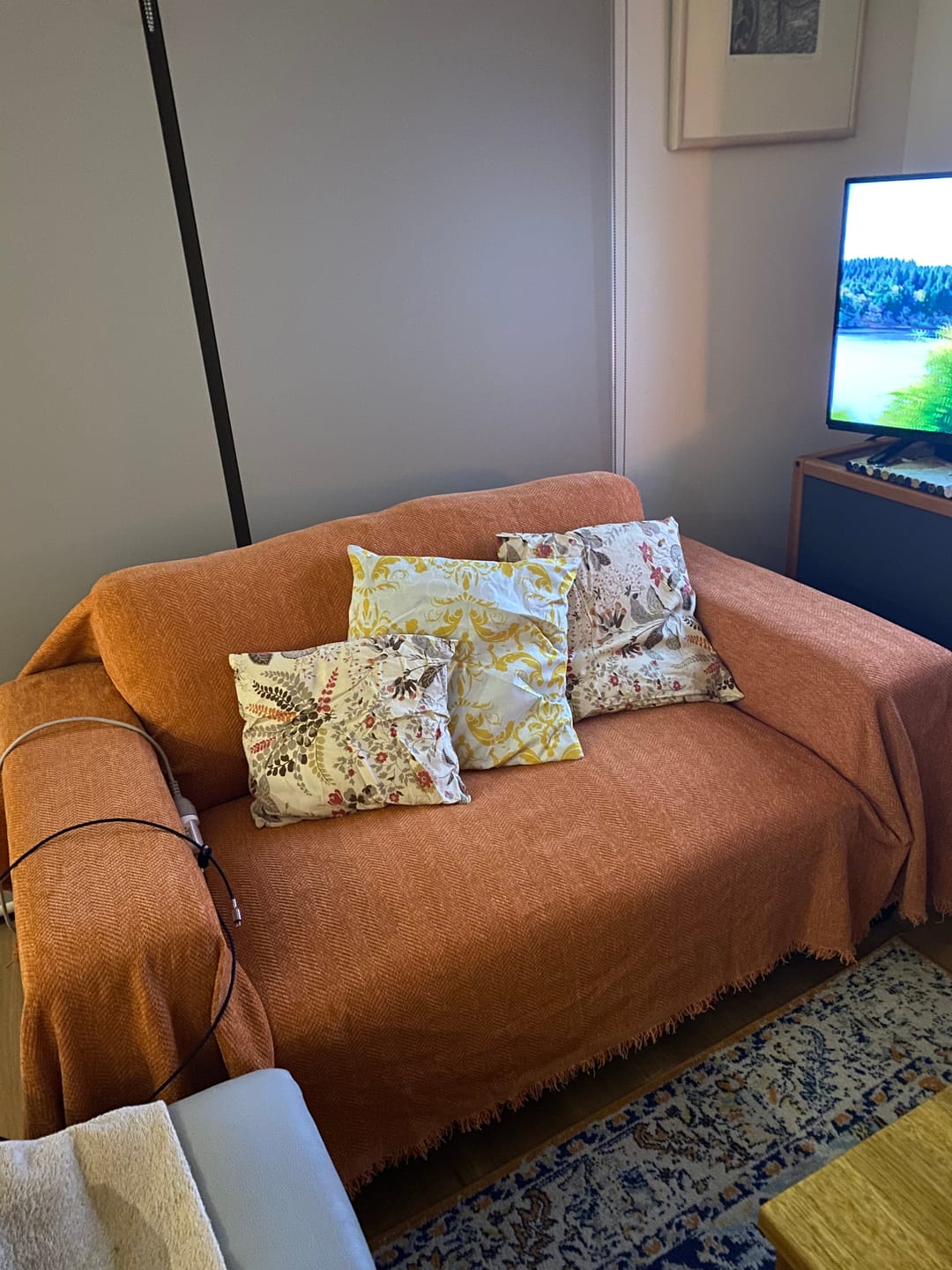 Customer photo review of Herringbone Couch Cover