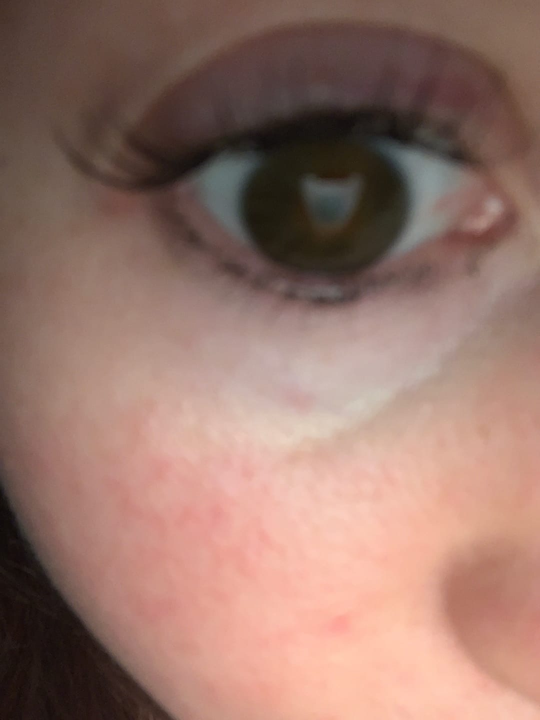Customer photo review of NEW! Eyeling Amber Brown