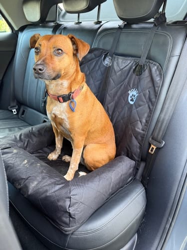 Customer photo review of Car Seat Cover