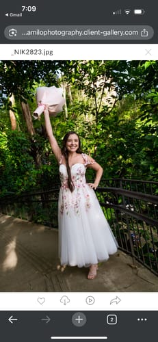 Customer photo review of Puff Sleeves Applique Pink Ivory Midi Dress