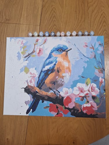 Customer photo review of צביעה לפי מספרים - PBN0627