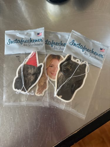 Customer photo review of Custom Shape Air Freshener