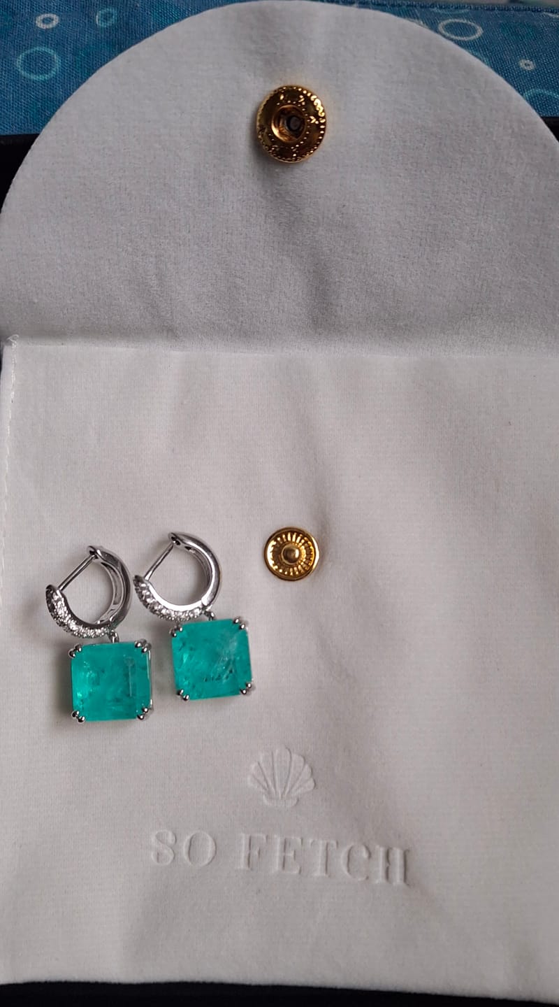 Customer photo review of The Zenobia Earrings