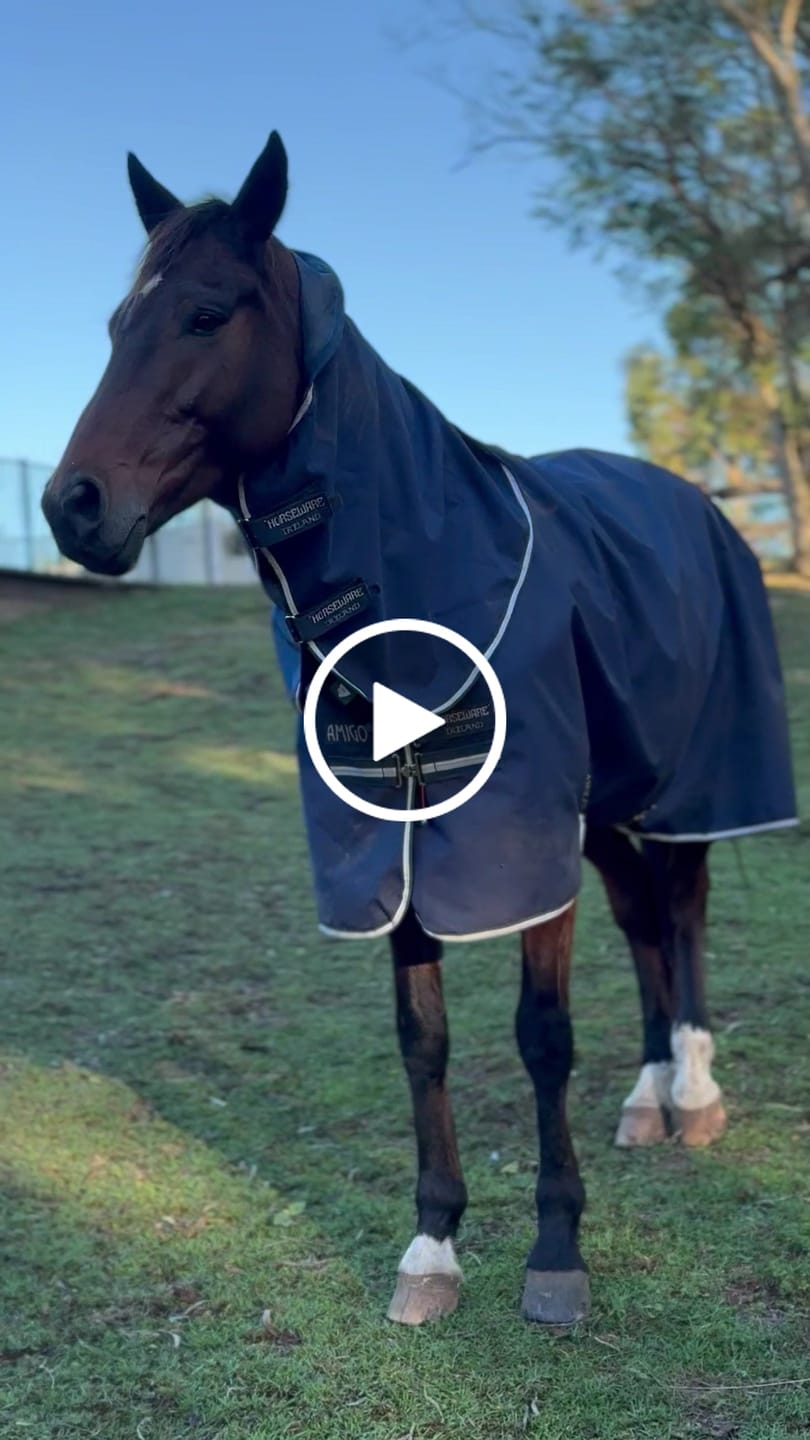 Customer video review of Amigo Ripstop 900D Plus Turnout 0g