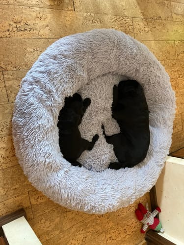 Customer photo review of CalmBed - Motverkar stress & hjälper mot ångest