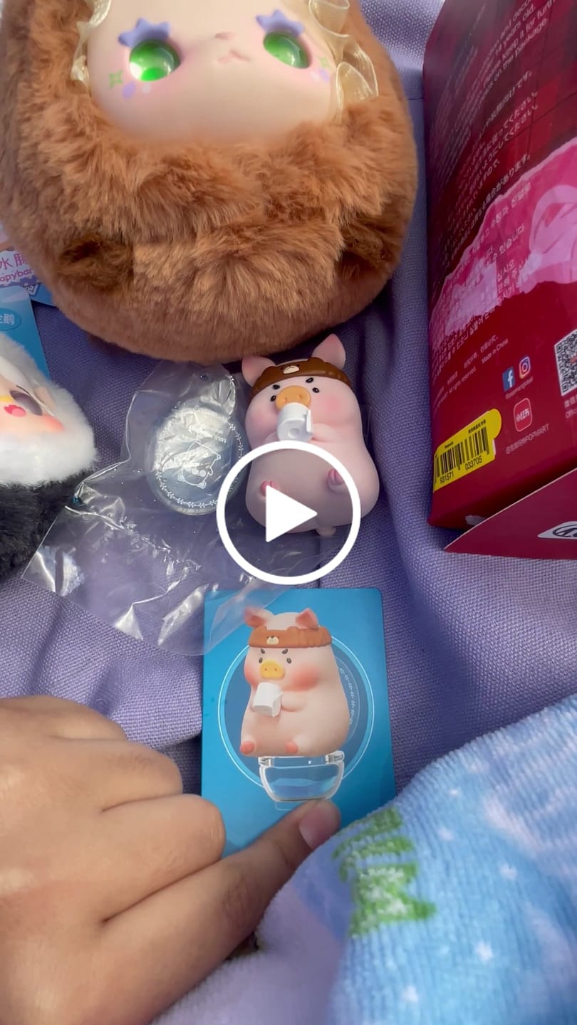 Customer video review of LuLu The Piggy Stay With You Series Blind Box