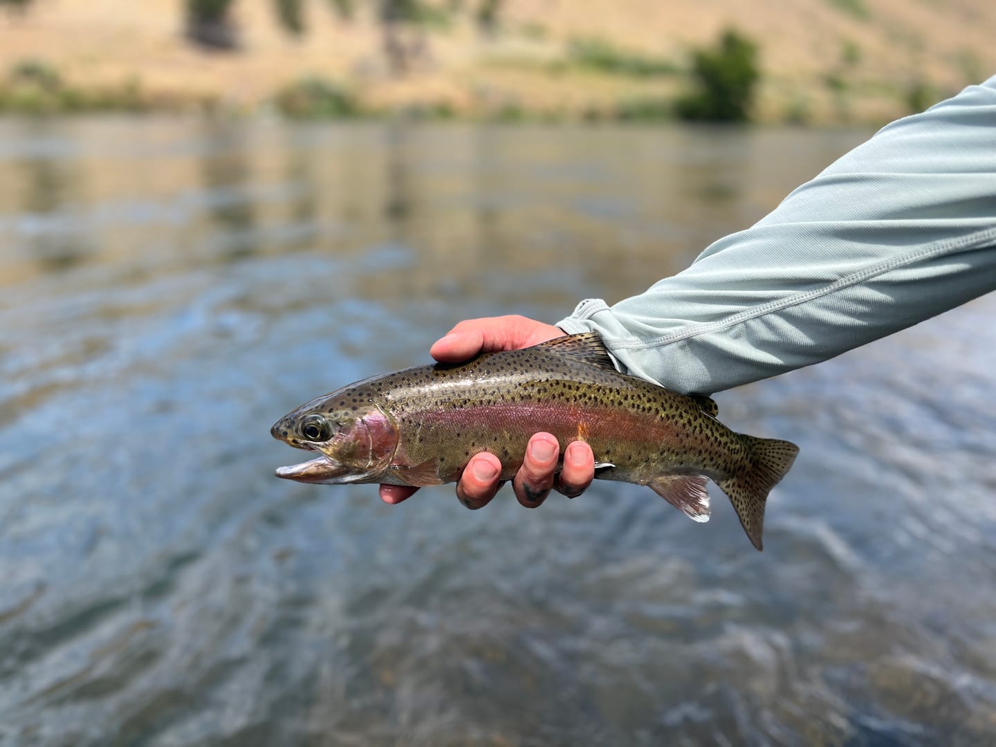 Customer photo review of Lower Deschutes River | Guided Float Trip - Full Day