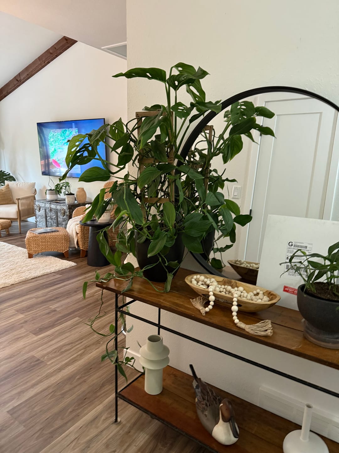 Customer photo review of Houseplant Top 40 Guide + Playlist