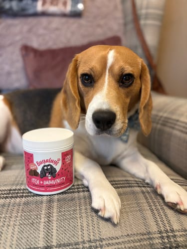 Customer photo review of Itch & Immunity Supplement Chews for Dogs