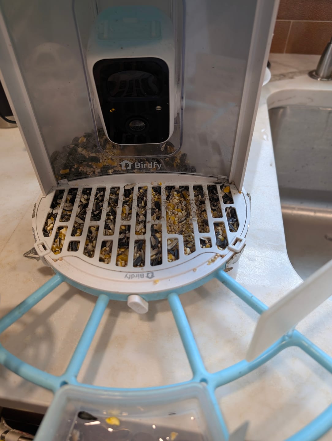 Customer photo review of Birdfy Bird Seed Guard