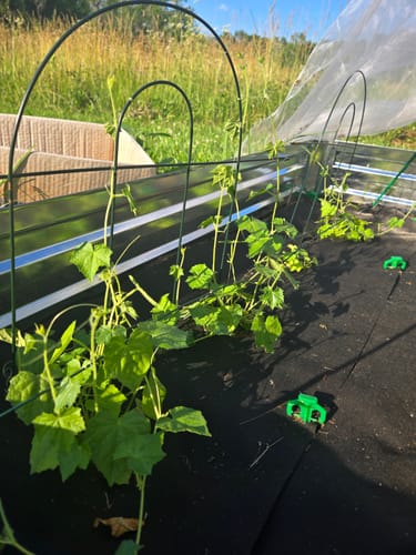 Customer photo review of Design Your Own Garden