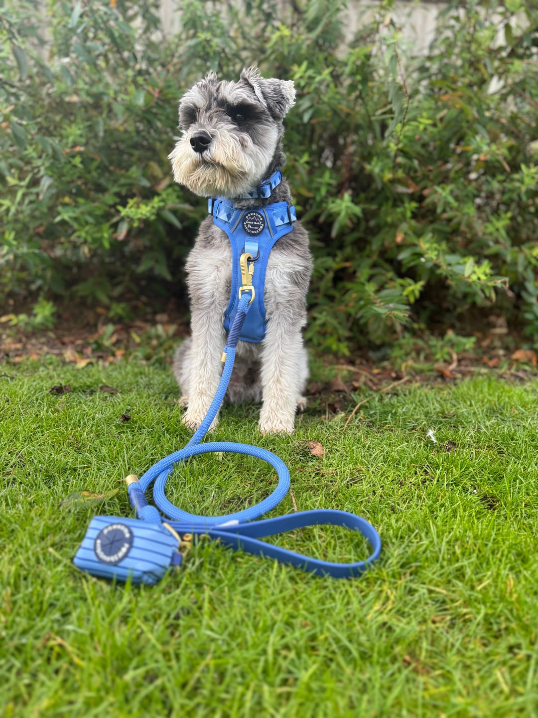 Customer photo review of Tough Trails™ Harness - Walkies Ready® Cornflower Blue