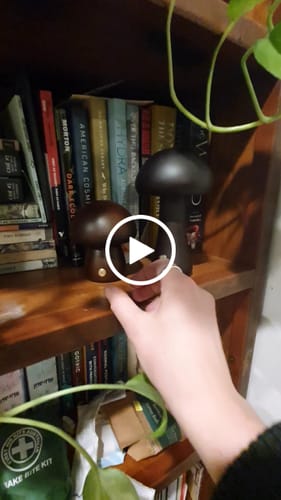 Customer video review of Timber Mushie Lamp | Walnut | Regular