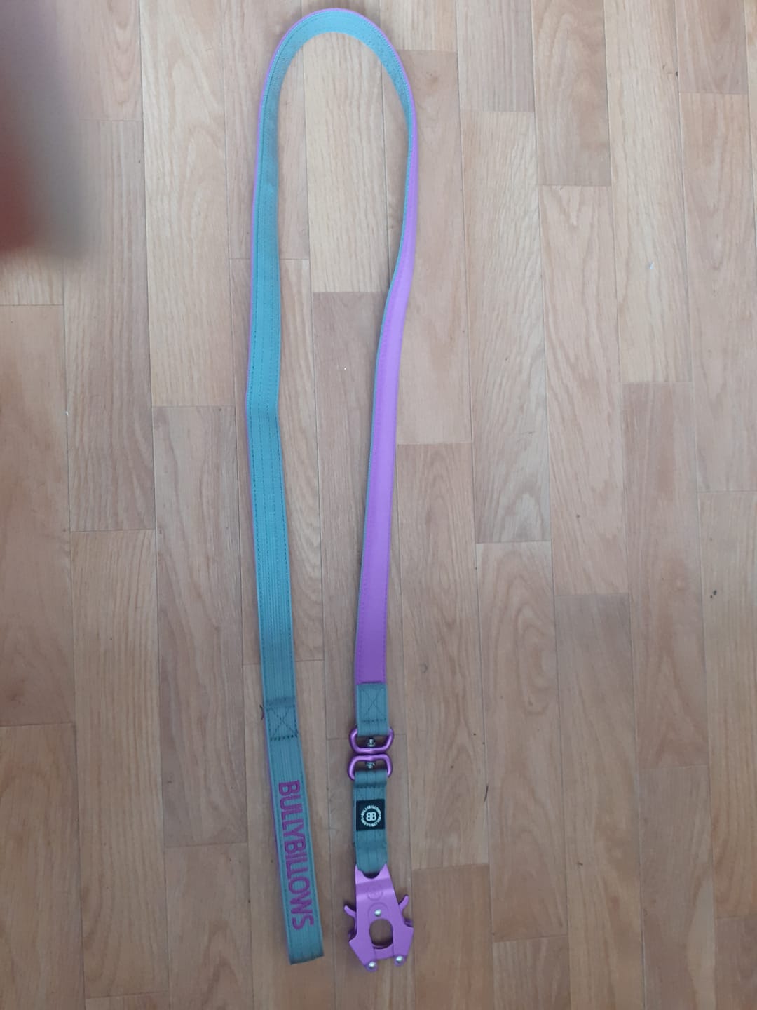 Customer photo review of 1.4m Lighter Swivel Combat Lead | Anti-Tangle & Secure Clip - Purple x Metal Grey
